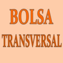 Logomarca de Bolsa Transversal